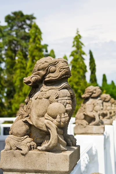 Fila di statua di leone cinese nel tempio cinese — Foto Stock
