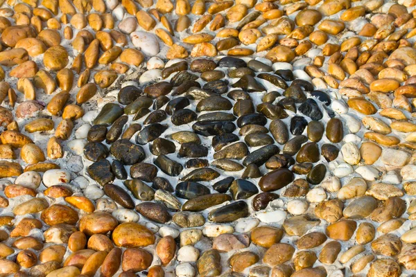 Rounded pebble stones floor for a foot massage — Stock Photo, Image