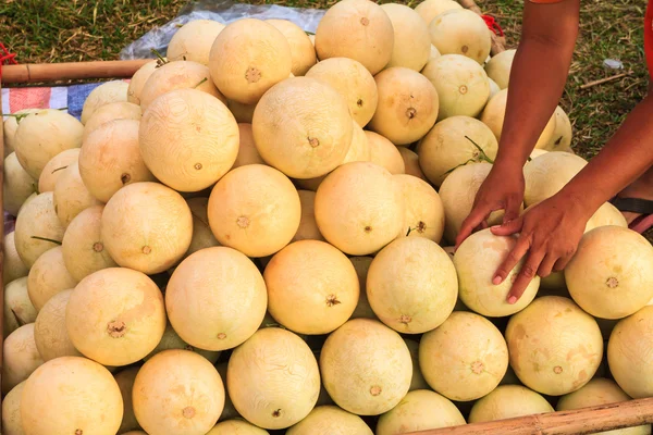 Cantaloupe — Stock Photo, Image