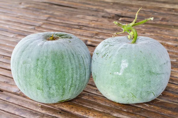 Calabaza blanca —  Fotos de Stock