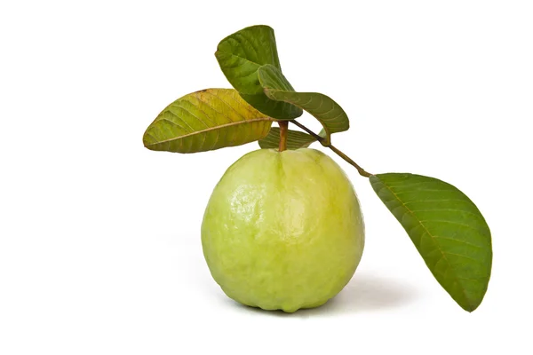 Guava with leaves on white background — Stock Photo, Image