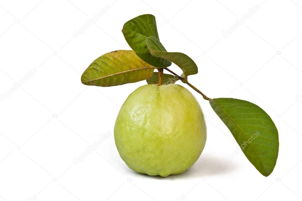 Guava with leaves on white background