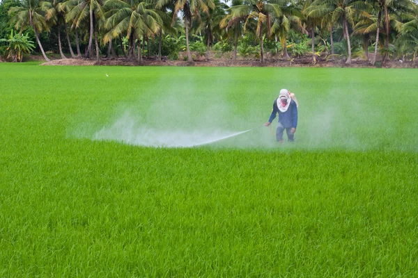 Farmer is spraying insecticide — Stock Photo, Image