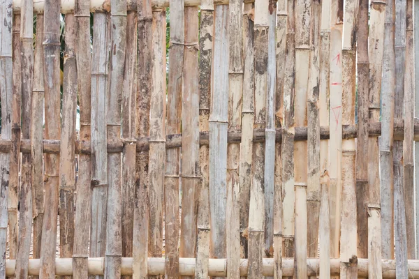 Fundo de bambu — Fotografia de Stock