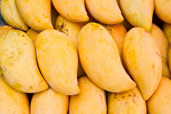 Ripe mangoes — Stock Photo, Image