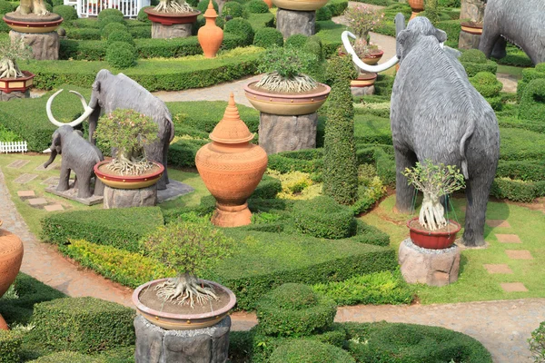 Natuur uitzicht op de tuin — Stockfoto