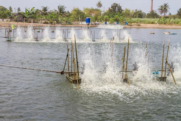 Belüfter für das Hinzufügen von Sauerstoff in Shrimp-farm — Φωτογραφία Αρχείου