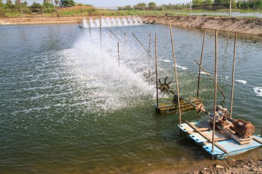 aerator karides çiftliği için tatlı su içinde