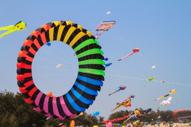 Fantastic kites on blue sky clipart