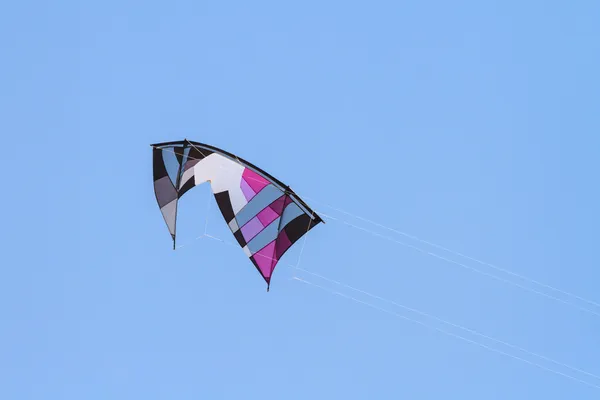 Kite on blue sky — Stock Photo, Image