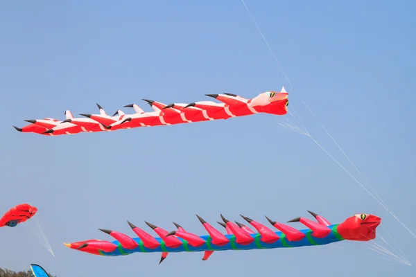 Cerfs-volants fantastiques sur ciel bleu — Photo