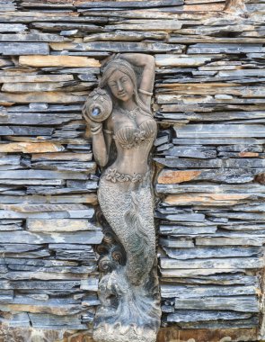 Denizkızı taş üzerinde arka plan katmanı