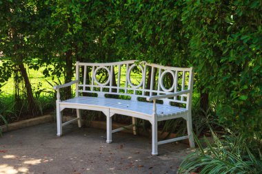 Bahçedeki sandalye.