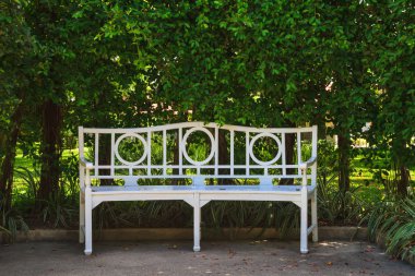 Bahçedeki sandalye.