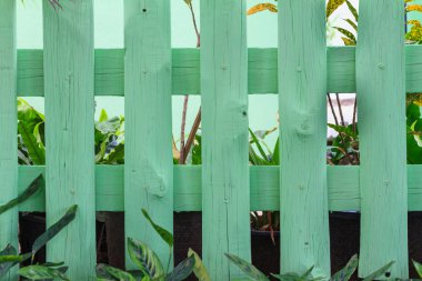 Yeşil çit arka plan