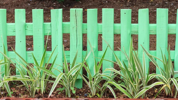 Groene tuin hek — Stockfoto