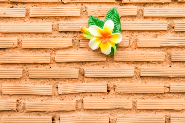 벽돌 벽에 세라믹 plumeria 꽃 — 스톡 사진