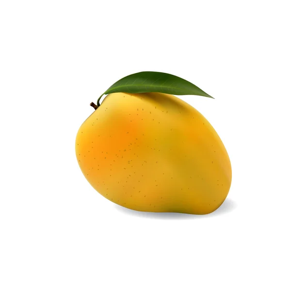 Vector Illustration Mango Isolated White Background Leaf — Image vectorielle