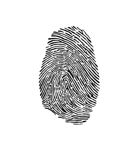 Fingerprint — Stock Vector