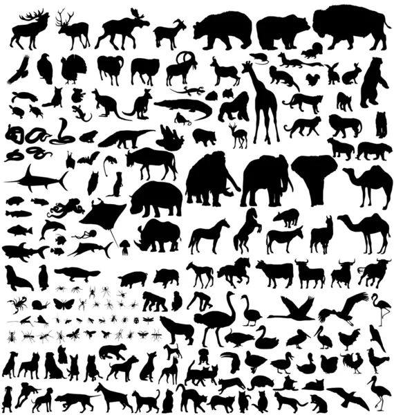 Conjunto de siluetas animales — Vector de stock