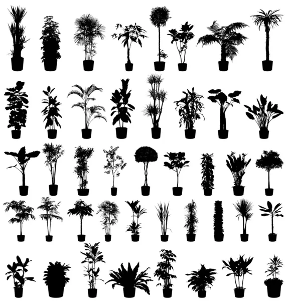 Plants silhouettes set — Stock Vector