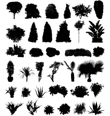 Trees shribs and flowers clipart
