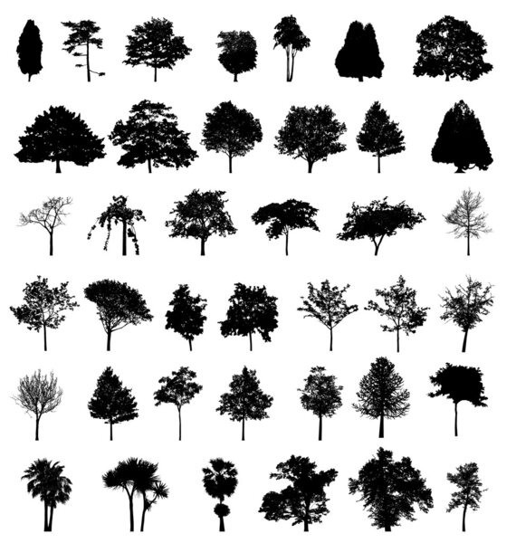 Large trees silhouettes set