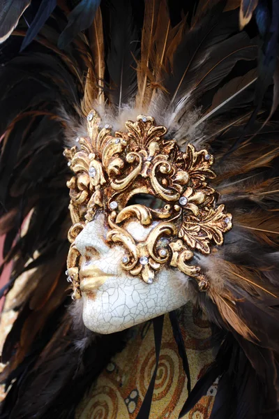 Beau masque pour carnaval — Photo