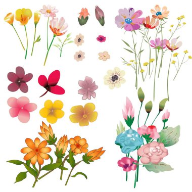 Vektör Çiçekleri ve Resimleri