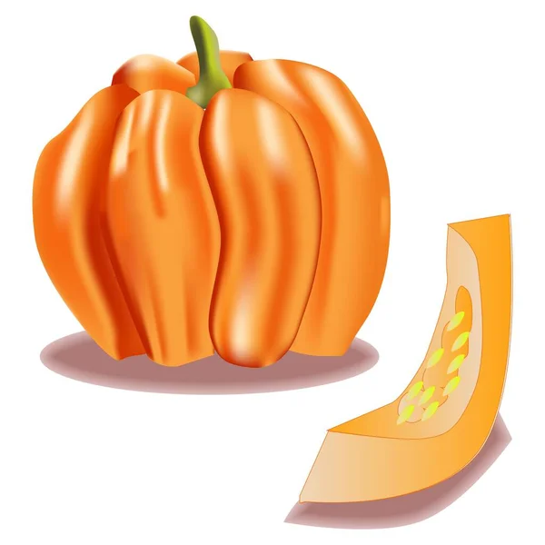Big Yellow Pumpkin Vector Illustration — Stock Vector