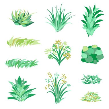 Grass and Bushes Landscape Design Elements Set Vector Illustration