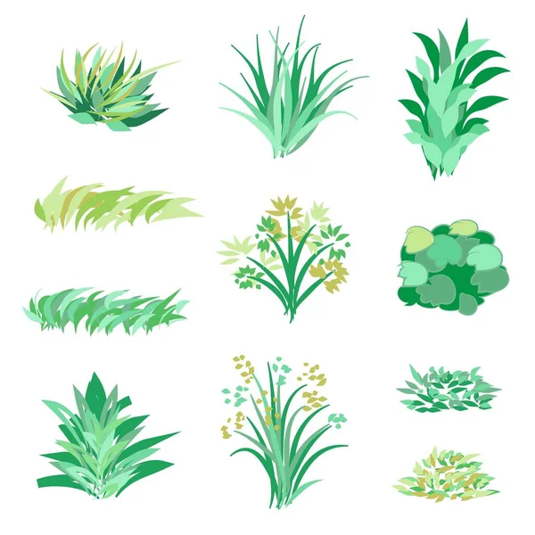 Grass Bushes Landscape Design Elements Set Vector Illustration — Stock Vector