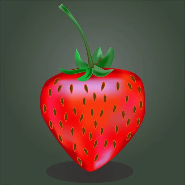 Realistische Vektorillustration Frischer Roter Erdbeeren — Stockvektor