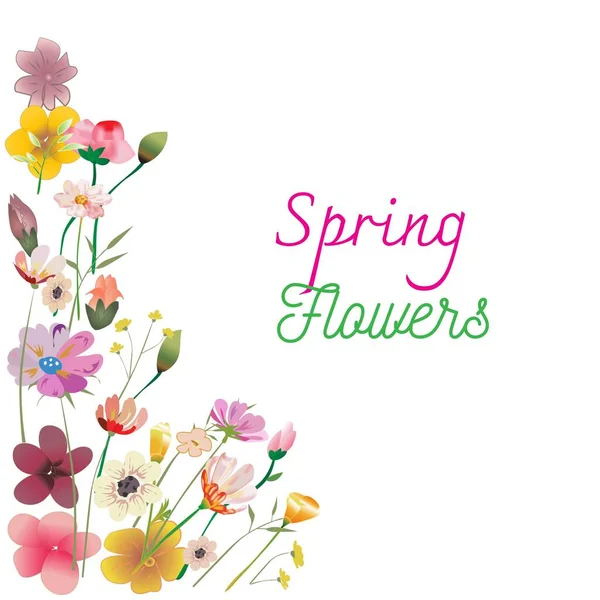 Floral Primavera Flores Moldura Decorativa Fundo Fronteira — Vetor de Stock