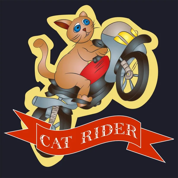 Cat Rider Vektör Arzulama ve Rozet