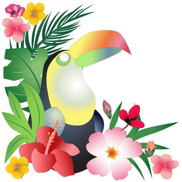 Toucan Tropical Decorative Ornament Vector Illustration — Image vectorielle