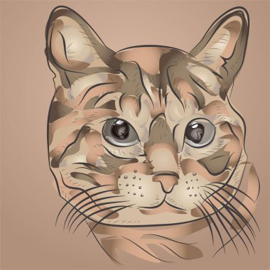 Çizgi film Kedi Çizimi ve Boyama Vektörü İllüstrasyonu