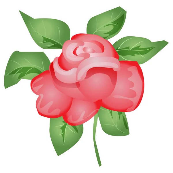 Belle Fleur Rose Rouge Feuilles Illustration Vectorielle — Image vectorielle