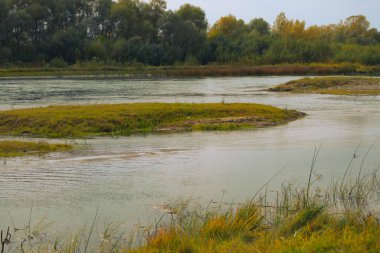 Şehir gezisi. Yaz manzarası. Hızlı nehir. Kara parçaları ve deniz yosunları. Harika bir piknik yeri. Issız bir yer ve bakir bir orman..