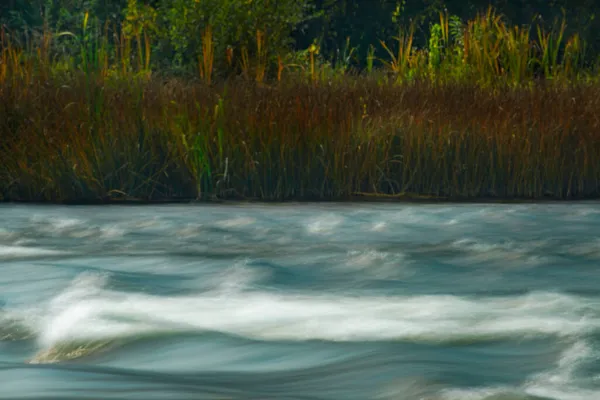 Viagem Campo Paisagem Verão Rio Rápido Ilhas Terra Algas Belo — Fotografia de Stock