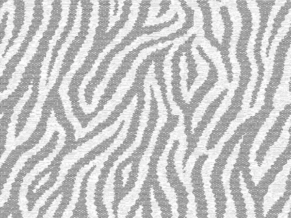 Vollständige Nahtlose Tiger Und Zebrastreifen Tierhautmuster Design Für Tiger Farbigen — Stockvektor