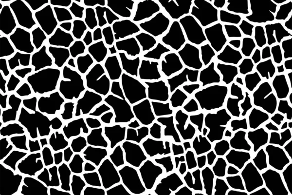 Patrón Abstracto Sin Costura Completa Vector Monocromático Vestido Blanco Negro — Archivo Imágenes Vectoriales