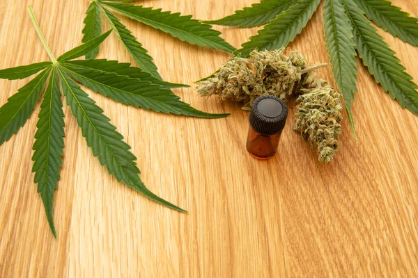 Medical Cannabis Concept Image Hemp Fresh Leaves Buds Small Oil — Foto de Stock