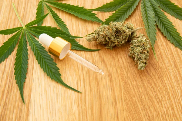 Imagen Del Concepto Cannabis Medicinal Cáñamo Hojas Frescas Brotes Pipeta — Foto de Stock