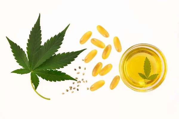 Hemp Extraction Oil Bowl Capsulesnear Cannabis Fresh Leaves Seeds White — Foto de Stock