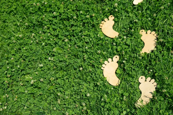 Деревянные Ноги Наступают Зеленую Траву Концепция Изображения Копировальным Пространством — стоковое фото
