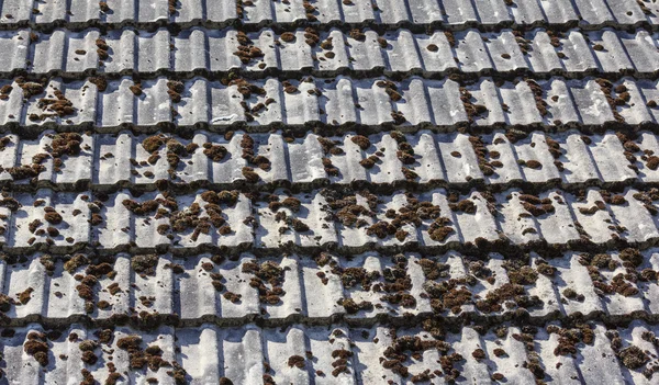 Tiled Country Roof Covered with Moss — Stock Photo, Image