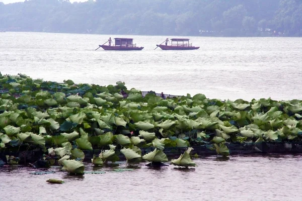 Traditionelle chinesische Boote schwimmend auf dem westlichen See, Hangzhou, China — Stockfoto