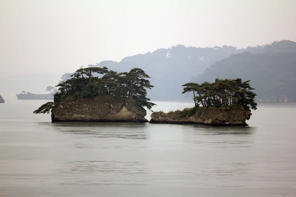 Schöne Inseln in Matsushima mit Kiefern bedeckt, die auf roc wachsen — Stockfoto