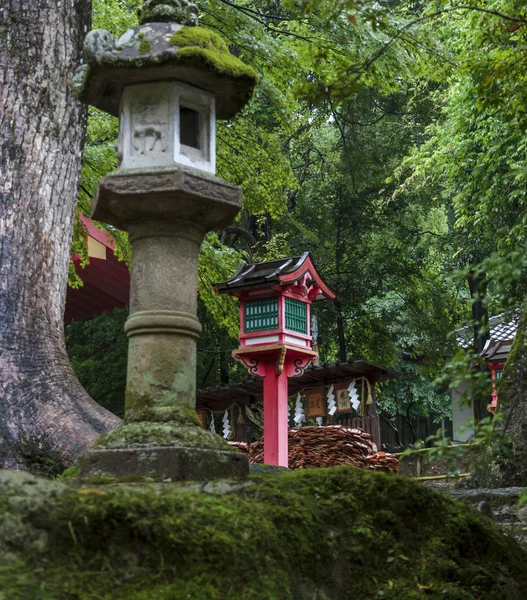 Linternas de piedra y de madera cerca de kasuga taisha shrine de nara, — 图库照片